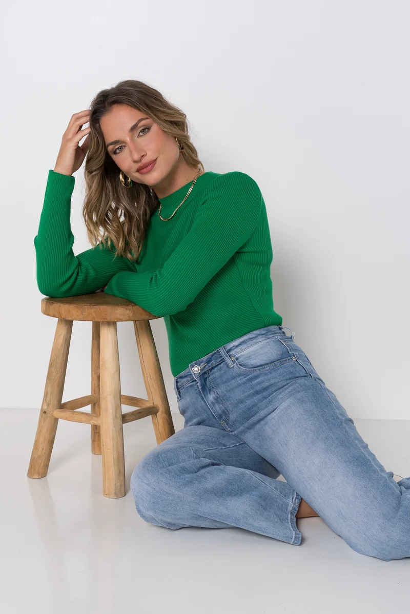 Jean Droit Taille Haute Coupe Intemporelle