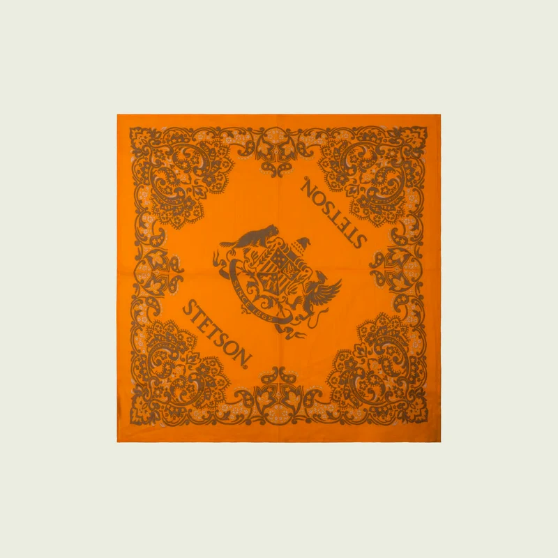 Bandana Paisley
