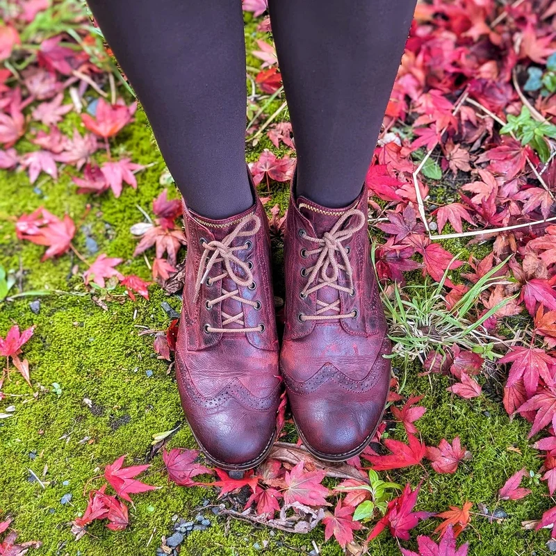 80 Denier Tights - Bear