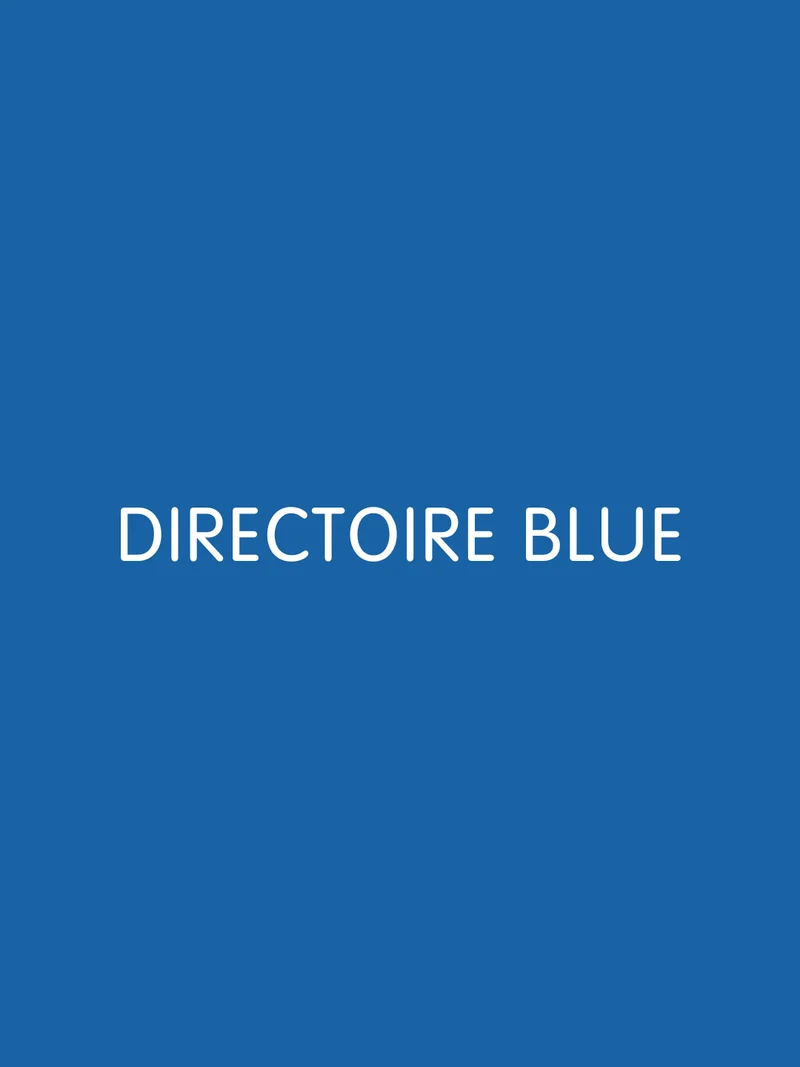 Stay Cool Chub Rub Shorts - Directoire Blue