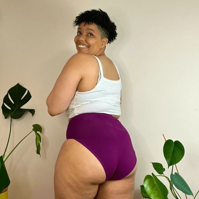 Organic Cotton Full Brief Knickers - Figgy Pudding