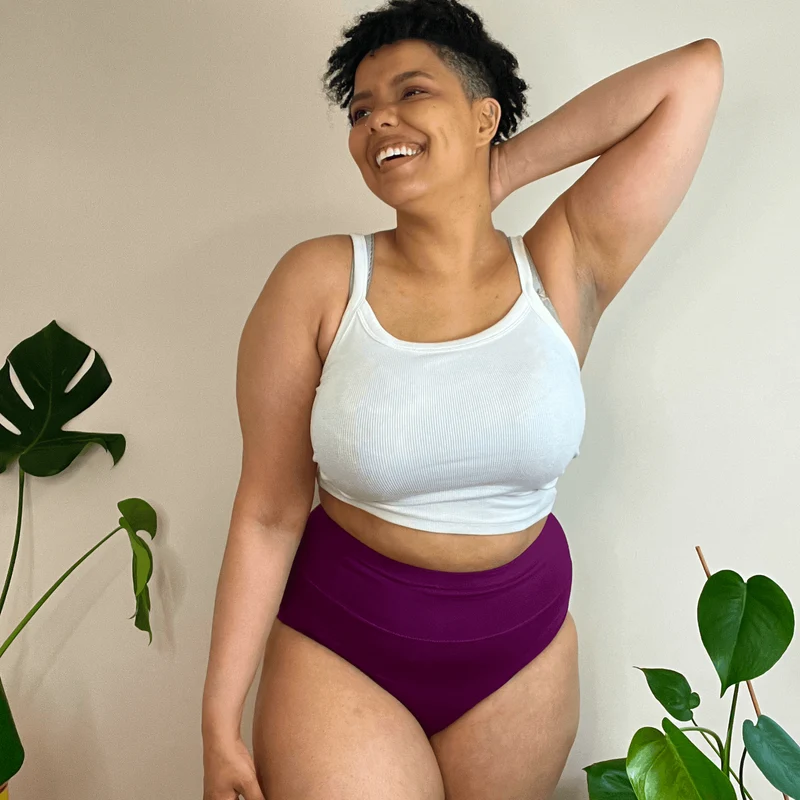 Organic Cotton Full Brief Knickers - Figgy Pudding