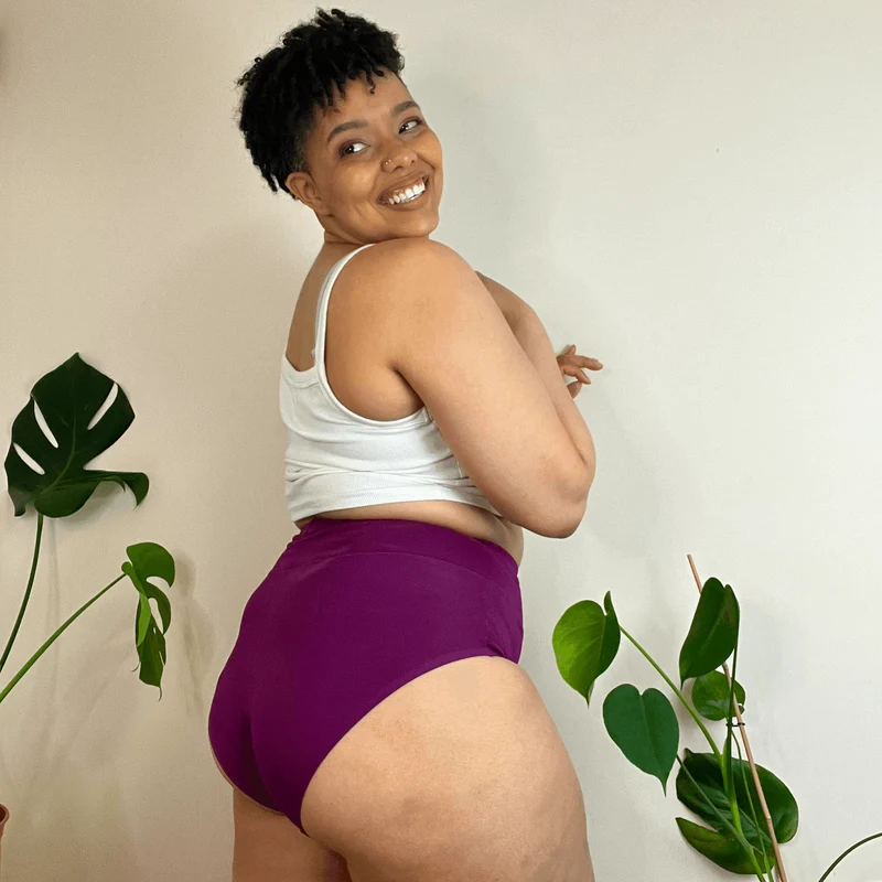 Organic Cotton Full Brief Knickers - Figgy Pudding