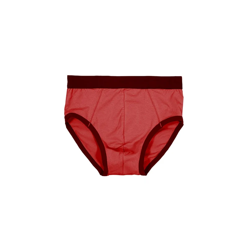 Snug Fit Briefs