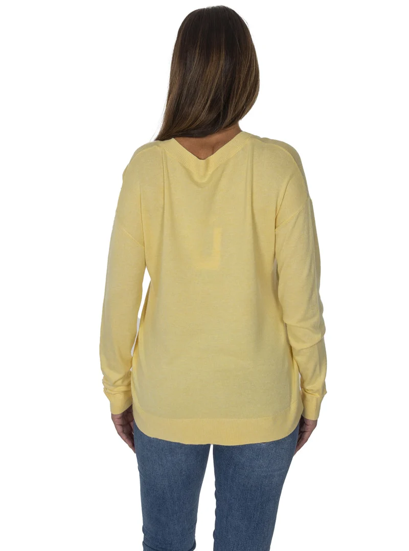 Chandail en tricot mince encolure en V | 3 couleurs