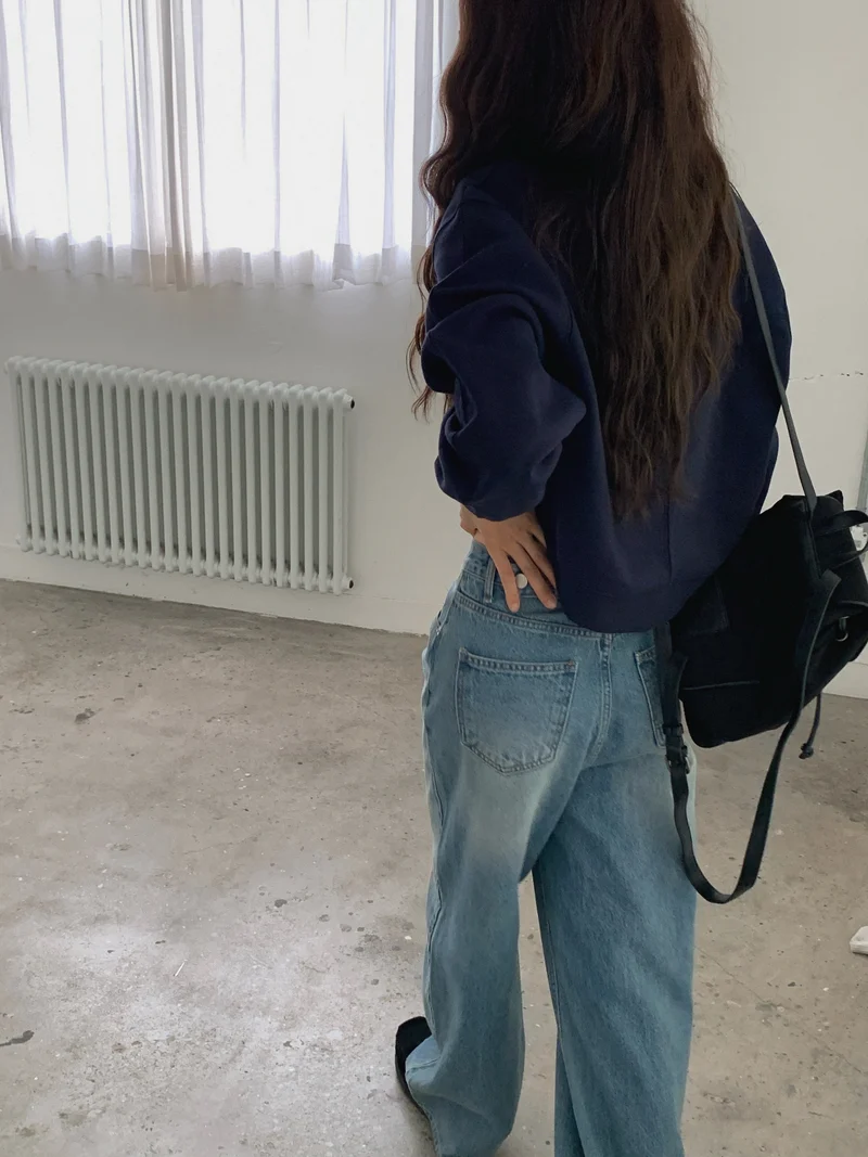 LeAhicon Cropped Stand Collar Half Zip Sweatshirt