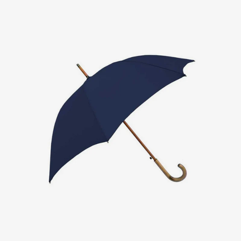 Le parapluie