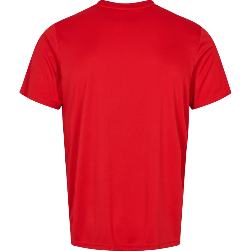 T-SHIRT RSL HOMME LYRA
