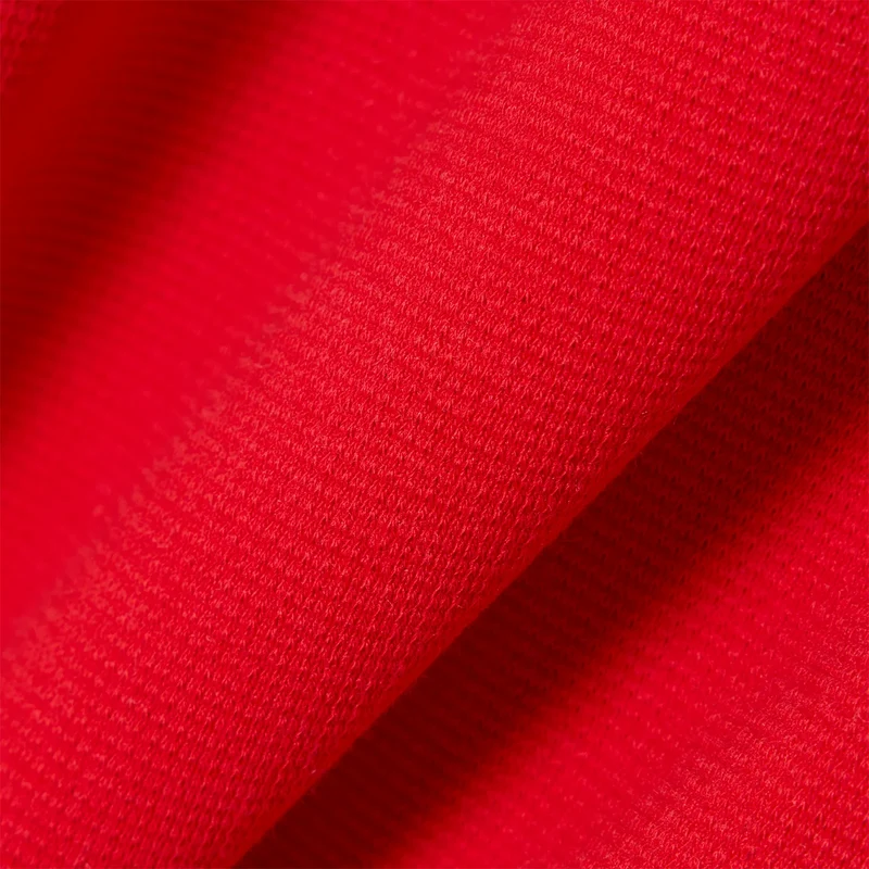 POLO LACOSTE CORE PERFORMANCE OTTOMAN REGULAR FIT