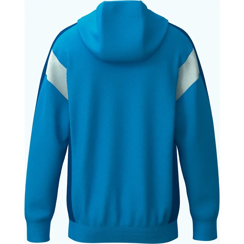 VESTE D'ENTRAINEMENT A CAPUCHE ERIMA CELEBRATE 125