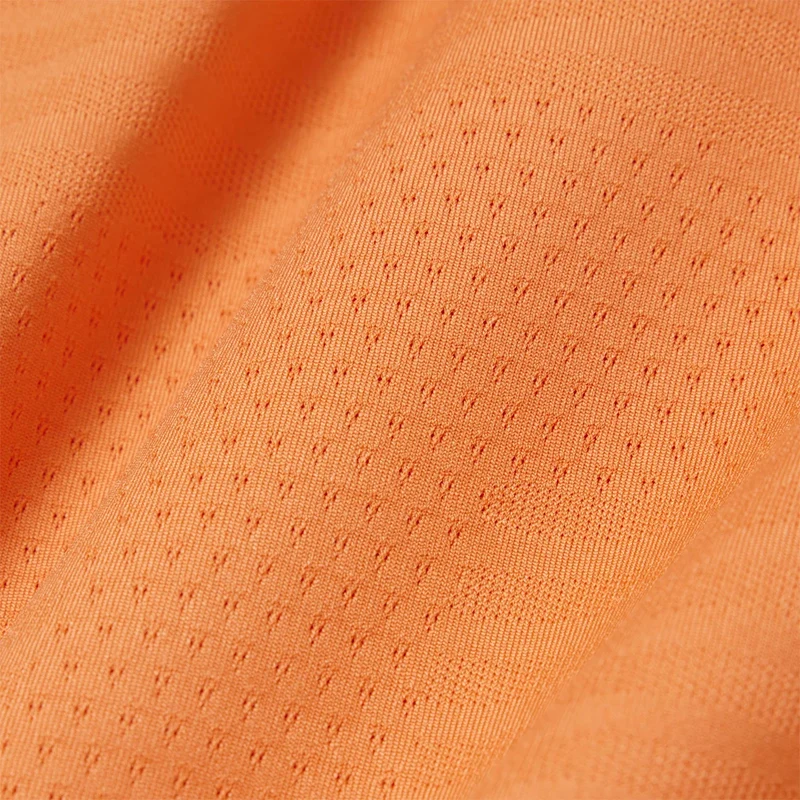 POLO LACOSTE DIMITROV ON COURT EURO CLAY