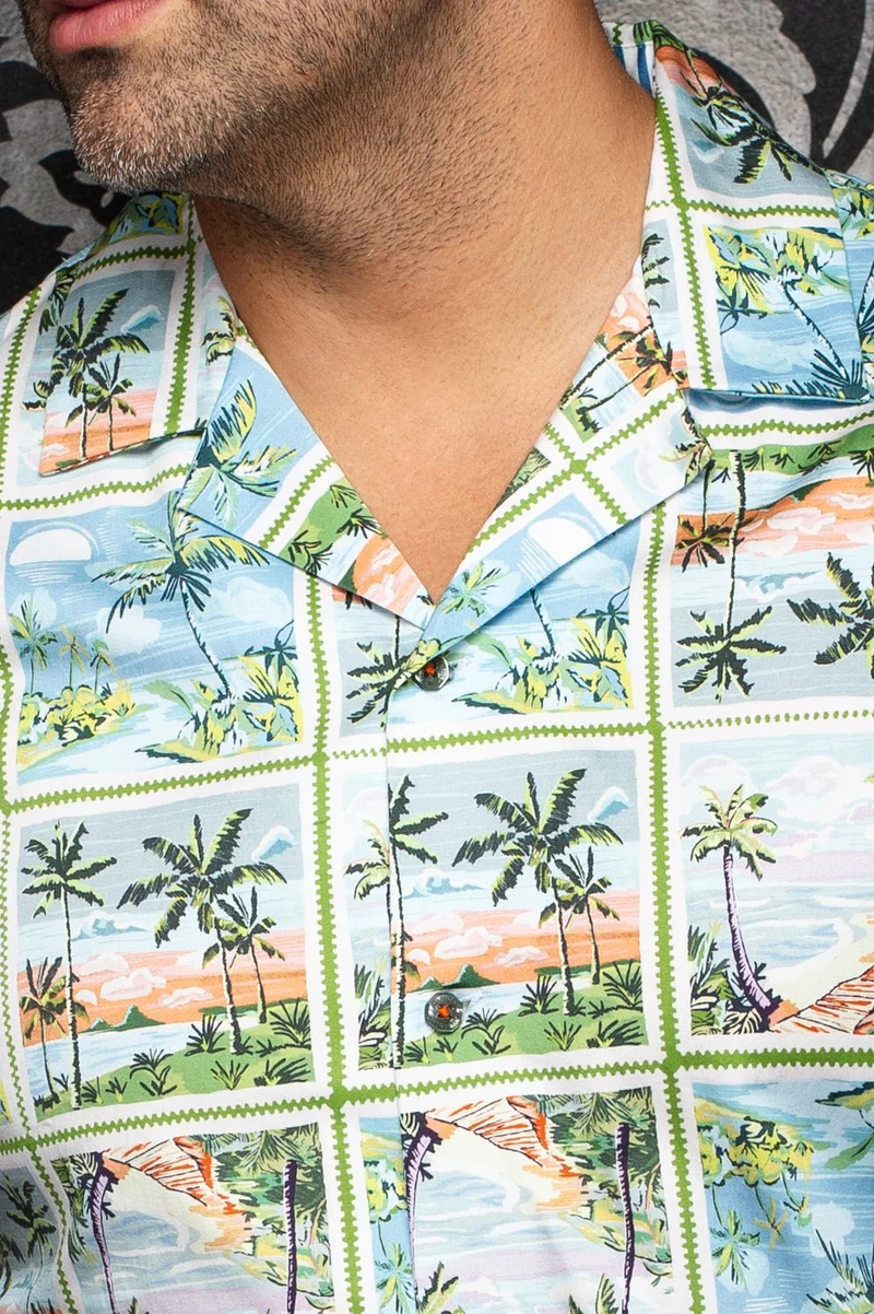 Manches Courtes Flat Collar | PALMBEACH, Olive