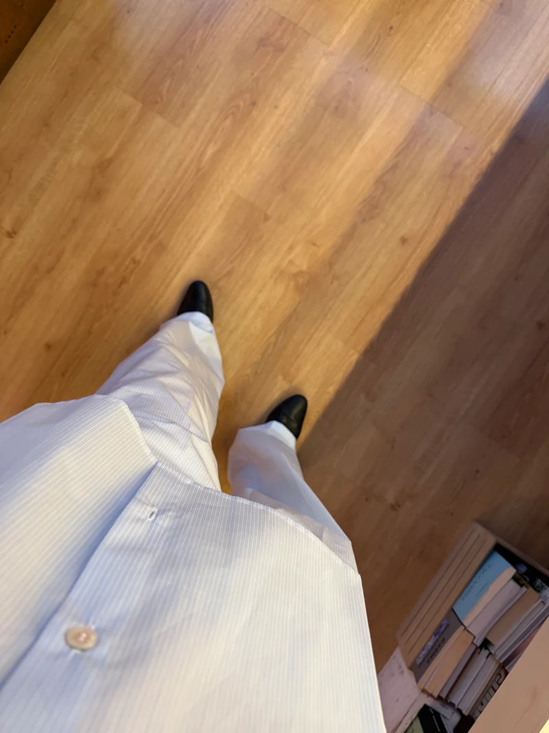Pantalon rayé Modigliani