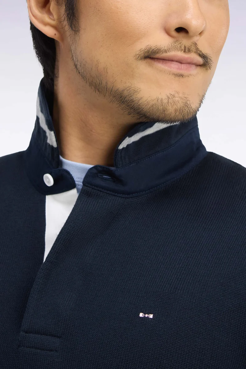 Pull à col maillot en coton tricolore broderie dos coupe regular
