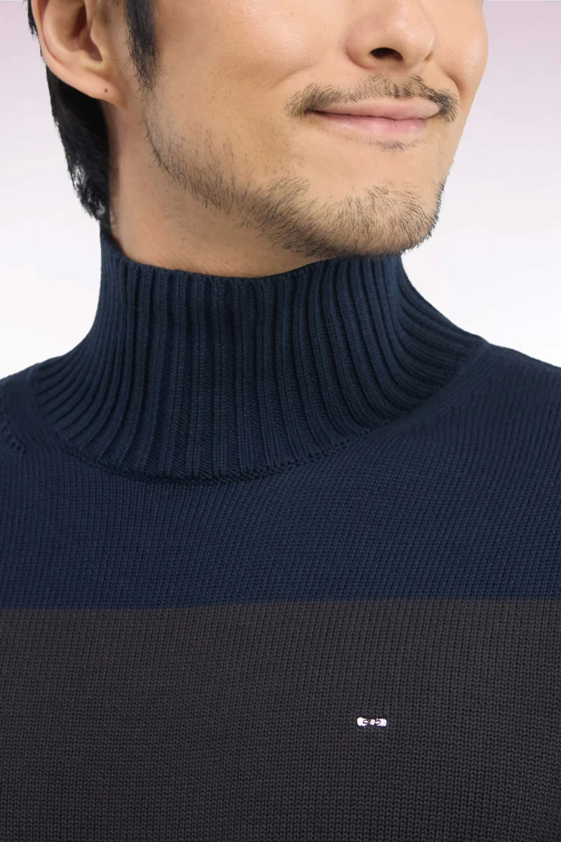 Pull col cheminée en coton rayé marron et marine coupe droite